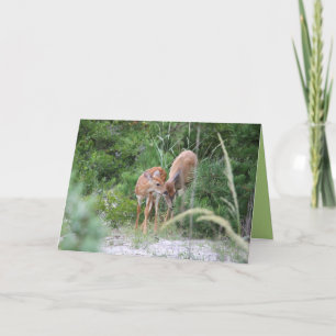 Deer Family Greeting Card