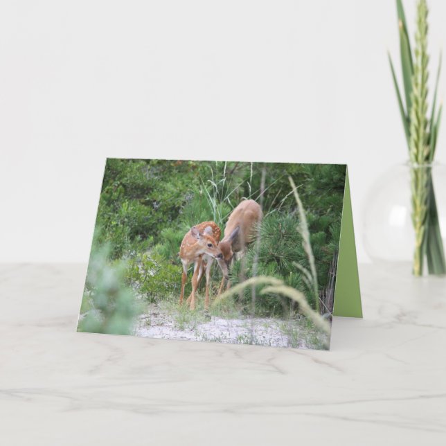 Deer Family Greeting Card (Front)