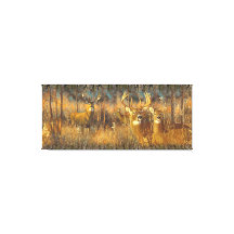 Deer Family In Autumn Morning Sun