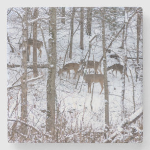 Deer Family In Snow Stone Coaster