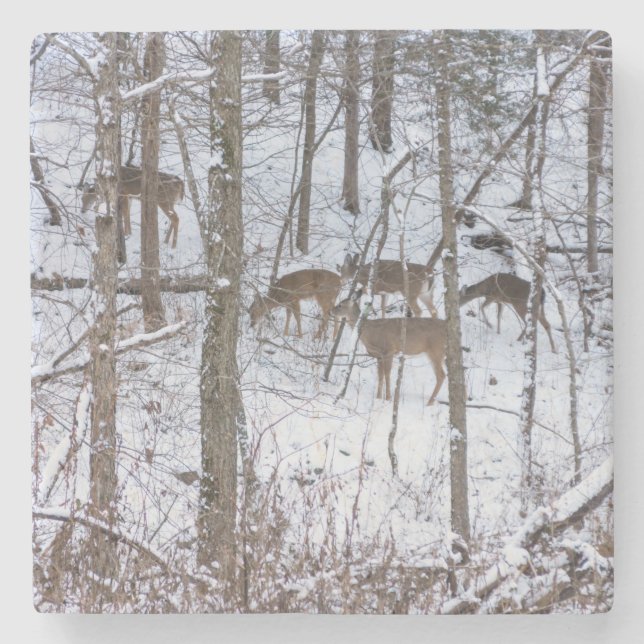 Deer Family In Snow Stone Coaster (Front)