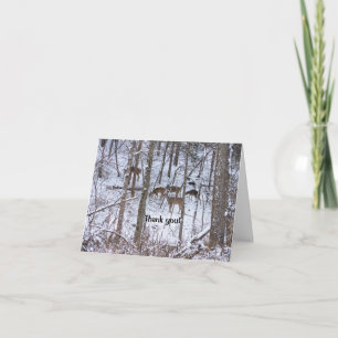 Deer Family In Snow Thank You Card