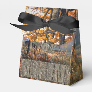 Deer Family Playing In Field Favour Box