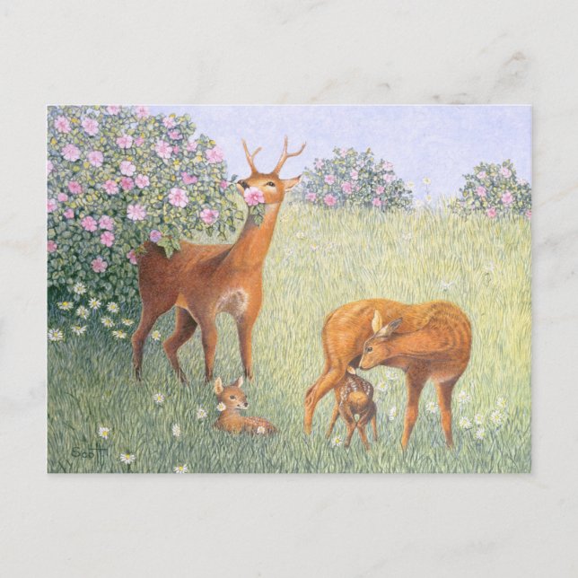 Deer Family Postcard (Front)