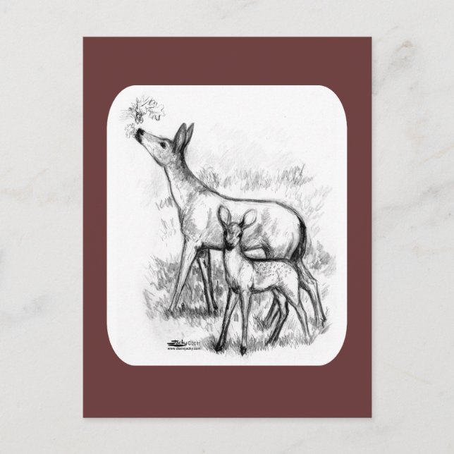 Deer Family Postcard (Front)