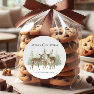 Deer Family Winter Snow Merry Christmas Classic Round Sticker