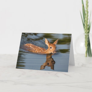 Deer Fawn Minnesota Card