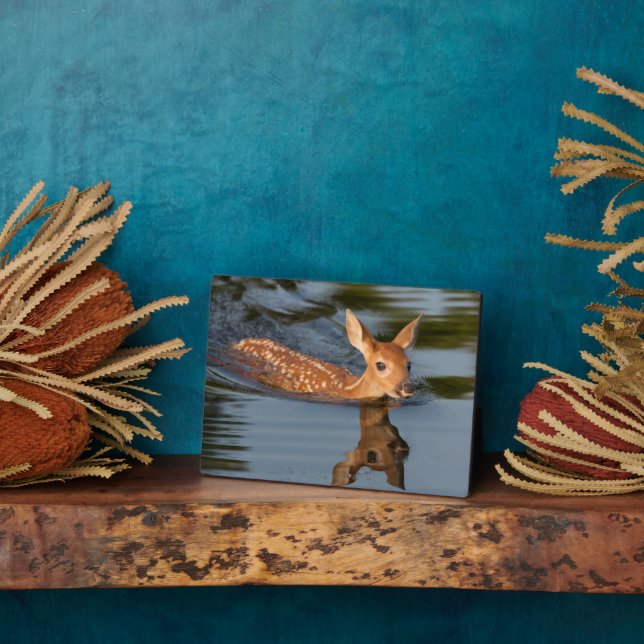 Deer Fawn | Minnesota Plaque (Side)