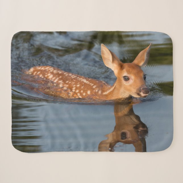 Deer Fawn | Minnesota Sherpa Blanket (Front (Horizontal))