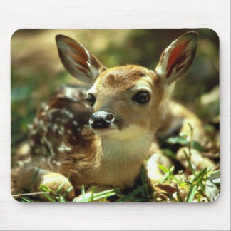 Deer Fawn  Mouse Pad