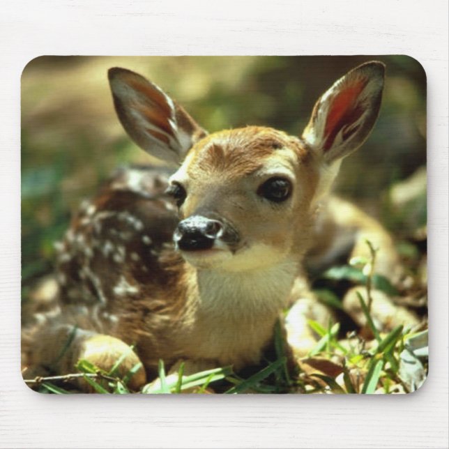 Deer Fawn  Mouse Pad (Front)