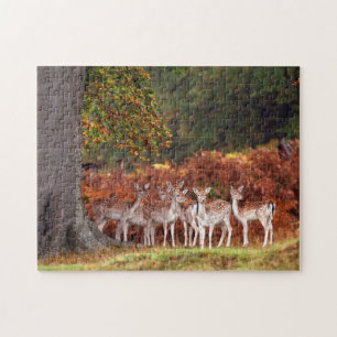 Deer Game Puzzle
