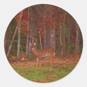 Deer , Green Grass red and Gold leaves Classic Round Sticker