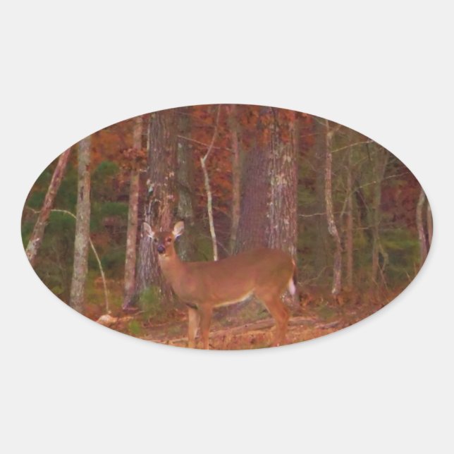 Deer , Green Grass red and Gold leaves Oval Sticker (Front)