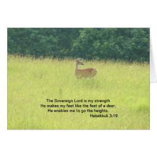 Deer: Habakkuk 3:19