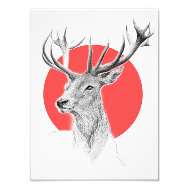 Deer head Stag drawing Red circle Animal art Photo Print (Front)