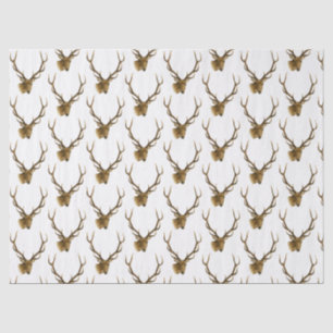 Deer Head with Large Antlers #1 Tissue Paper