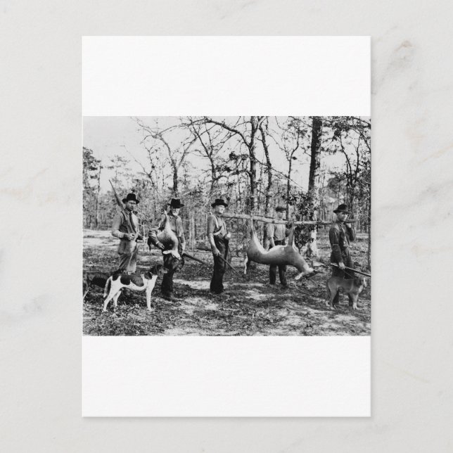 Deer Hunter, 1922 Postcard (Front)