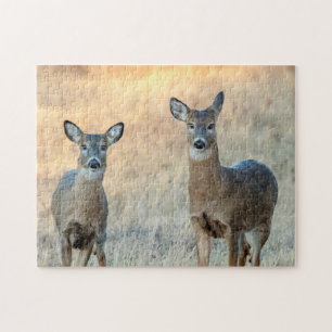 Deer in a field jigsaw puzzle