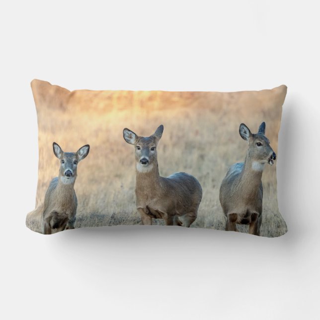 Deer in a field lumbar cushion (Front)