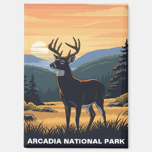 Deer in Arcadia National Park Magnet