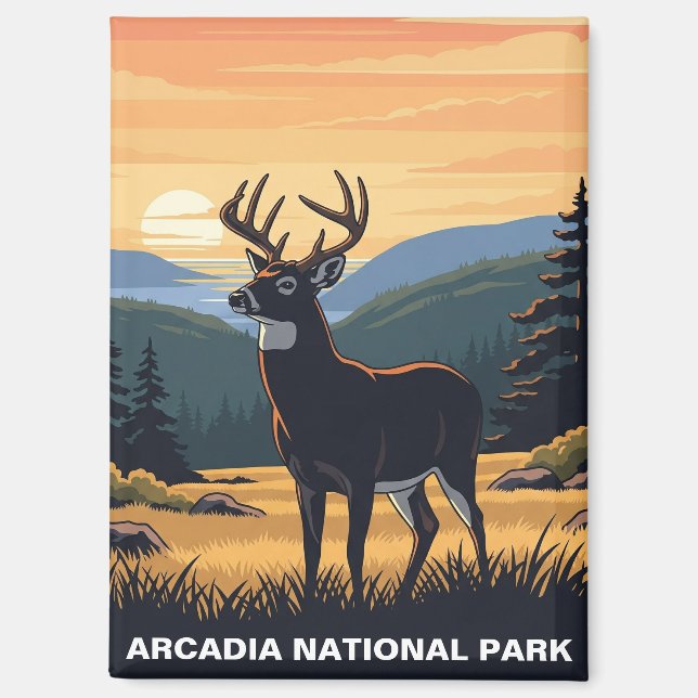 Deer in Arcadia National Park Magnet (Front)