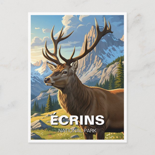 Deer in Écrins National Park France Travel Postcard (Front)
