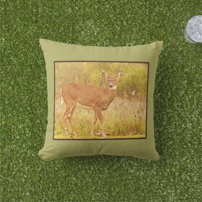 DEER IN FIELD LOOKING AT CAMERA CUSHION (Grass)