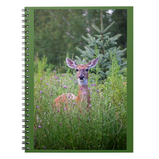 Deer in flowery thicket photo notebook (Front)