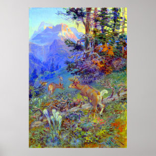 Deer in Forest White Tailed Deer Charles Russell  Poster