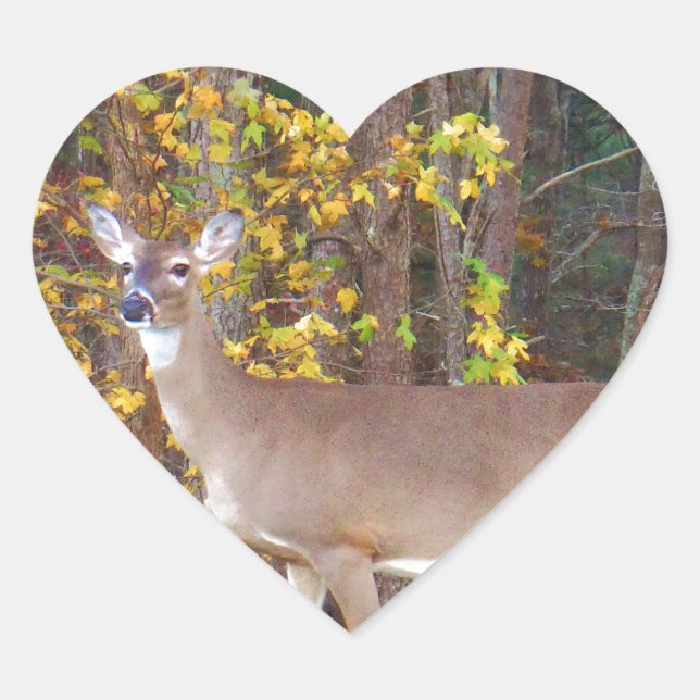 Deer in Front of Yellow Autumn Tree Heart Sticker (Front)