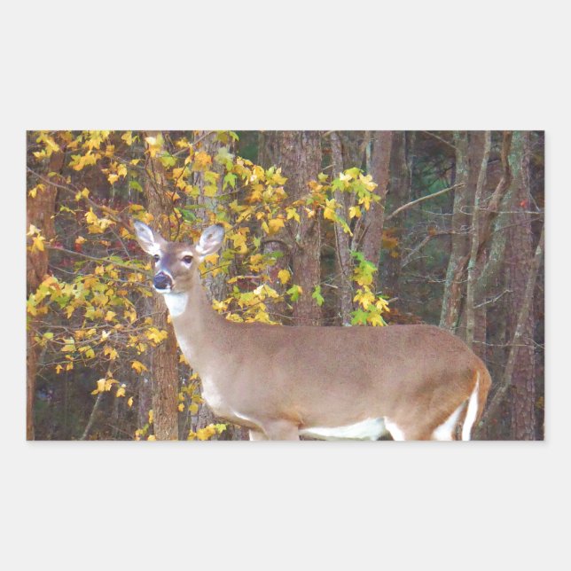 Deer in Front of Yellow Autumn Tree Rectangular Sticker (Front)