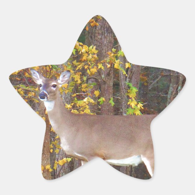 Deer in Front of Yellow Autumn Tree Star Sticker (Front)