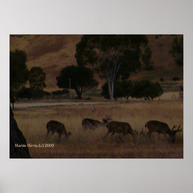 Deer in Hills Print - Select Your Frame (Front)