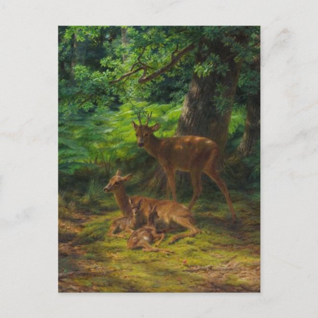 Deer in Repose by Rosa Bonheur Postcard (Front)