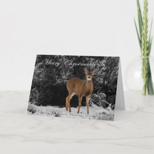 DEER IN SNOW - CHRISTMAS 2 HOLIDAY CARD