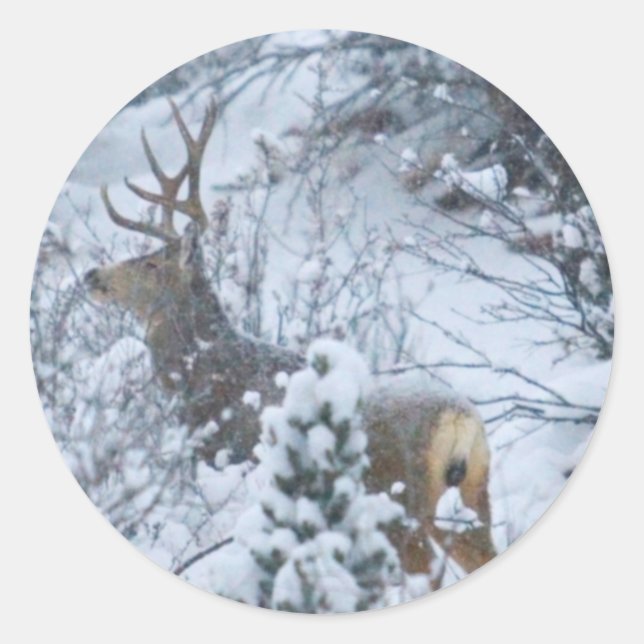 Deer in Snow Classic Round Sticker (Front)