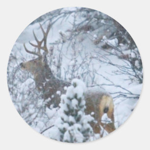 Deer in Snow Classic Round Sticker