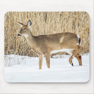 Deer in snow mouse pad