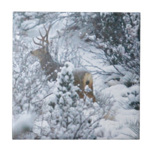 Deer in Snow Tile