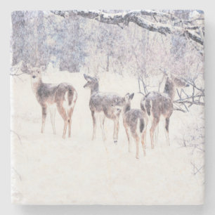 Deer in Snow Winter Art Coaster