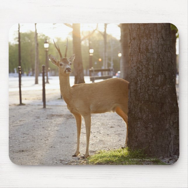 Deer in the city mouse pad (Front)