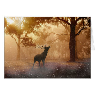 Deer In The Forest