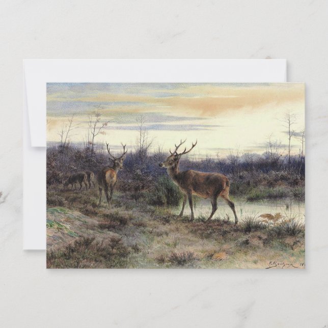Deer in the Forest at Fontainebleau (Rosa Bonheur) Card (Front)