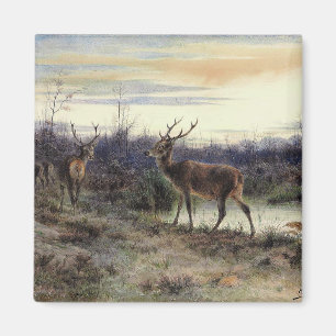 Deer in the Forest at Fontainebleau (Rosa Bonheur) Magnet