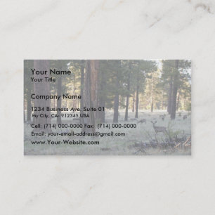 Deer In The Forest At San Fransisco Peaks Business Card