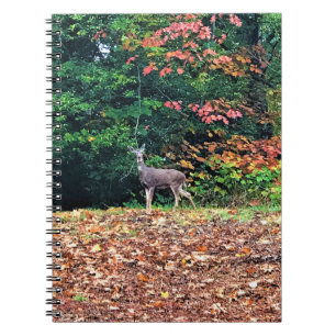 Deer in the Forest, Oregon Notebook