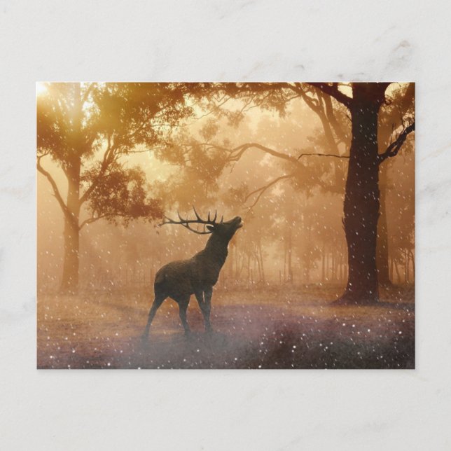 Deer In The Forest Postcard (Front)