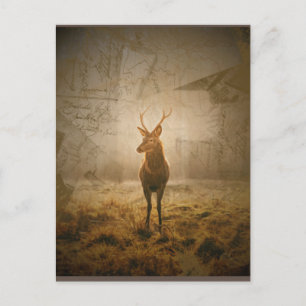 Deer in the forest postcard
