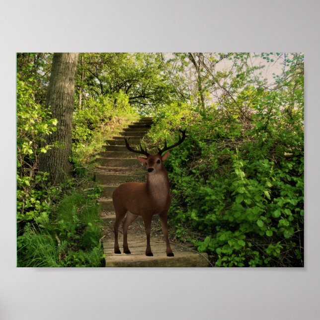 Deer in the forest. poster (Front)